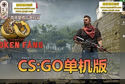 ��������������CSGO����Ʒ���ε����棡�������һ������ ...